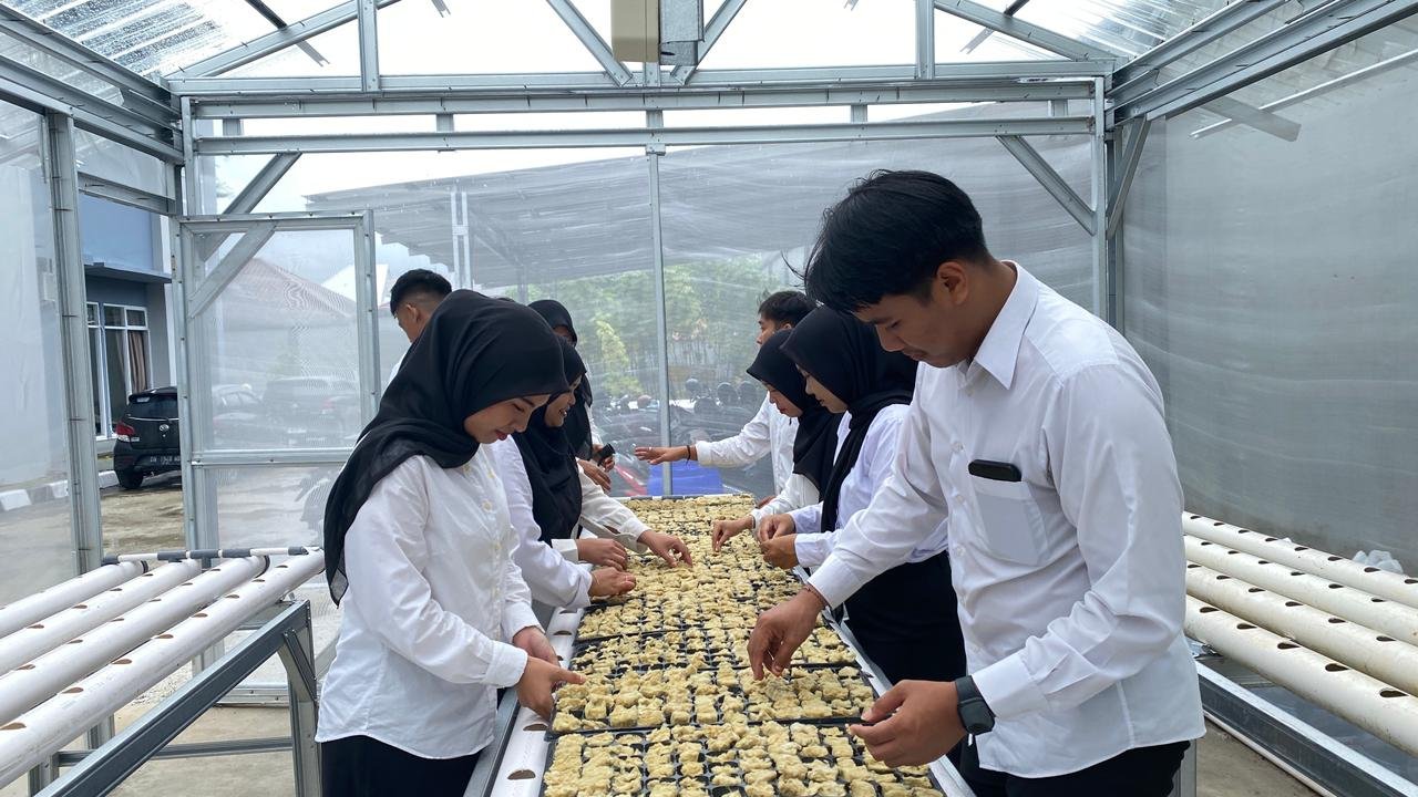 Bapas Tanjungpandan Dorong Kemandirian Klien melalui Budidaya Hidroponik